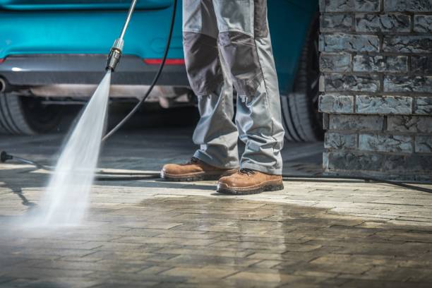 Best Fleet Vehicle Washing  in Buckingham, FL