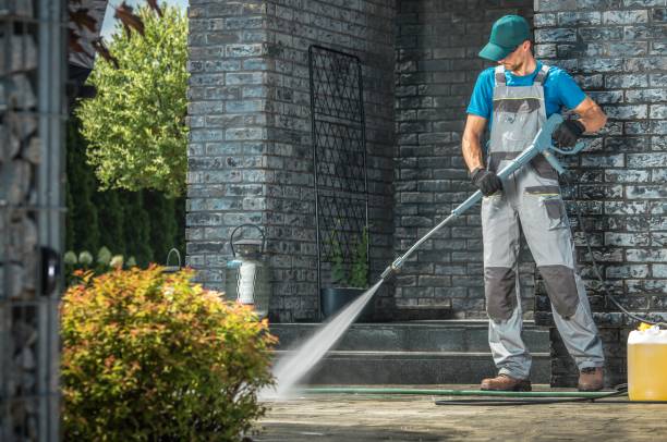 Best Graffiti Removal  in Buckingham, FL